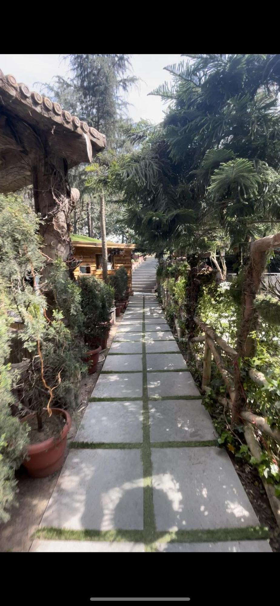 Kasauli Castle Resort Exterior foto