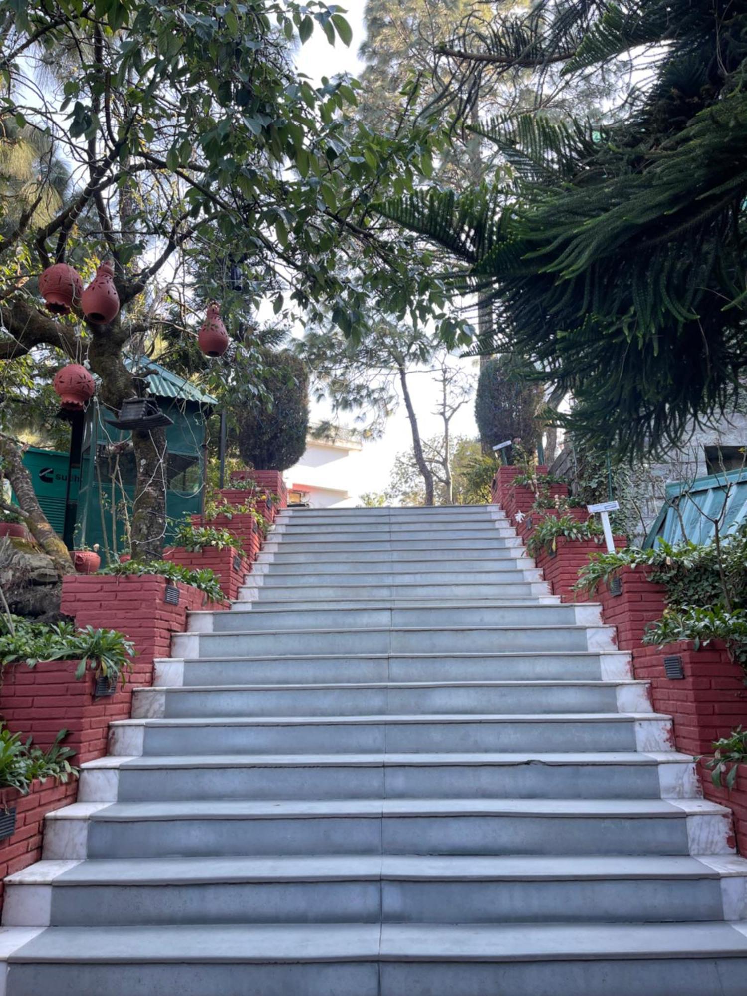 Kasauli Castle Resort Exterior foto